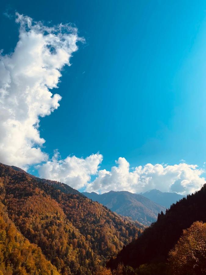 Seyr-I Cennet Dag Evleri Camlihemsin Экстерьер фото